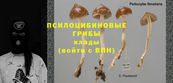 мяу мяу кристалл Инта