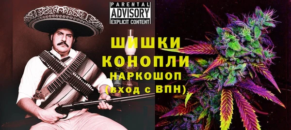 гашик Инсар