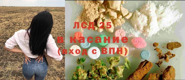 гашик Инсар