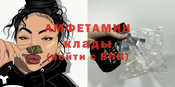 гашик Инсар