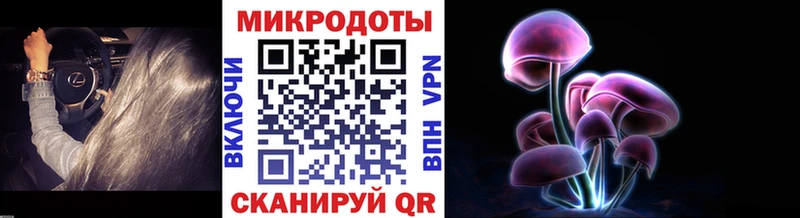 Псилоцибиновые грибы прущие грибы  Княгинино 