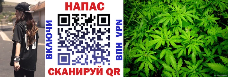 кракен сайт  хочу наркоту  Княгинино  Канабис семена 
